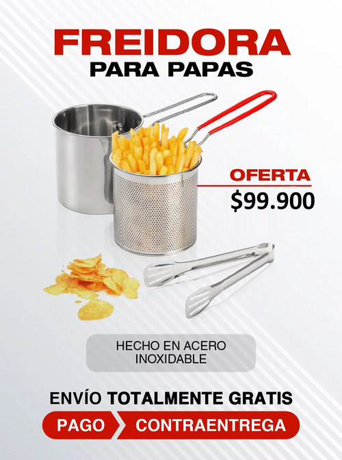 FREIDORA DE PAPAS