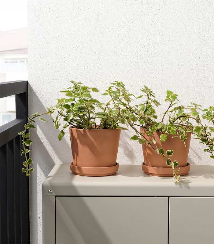 3 Pack Baby Socks - Görsel 3