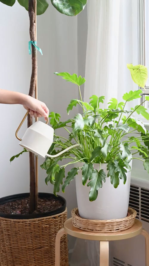 Snowy Embroidered Jumper - Görsel 5